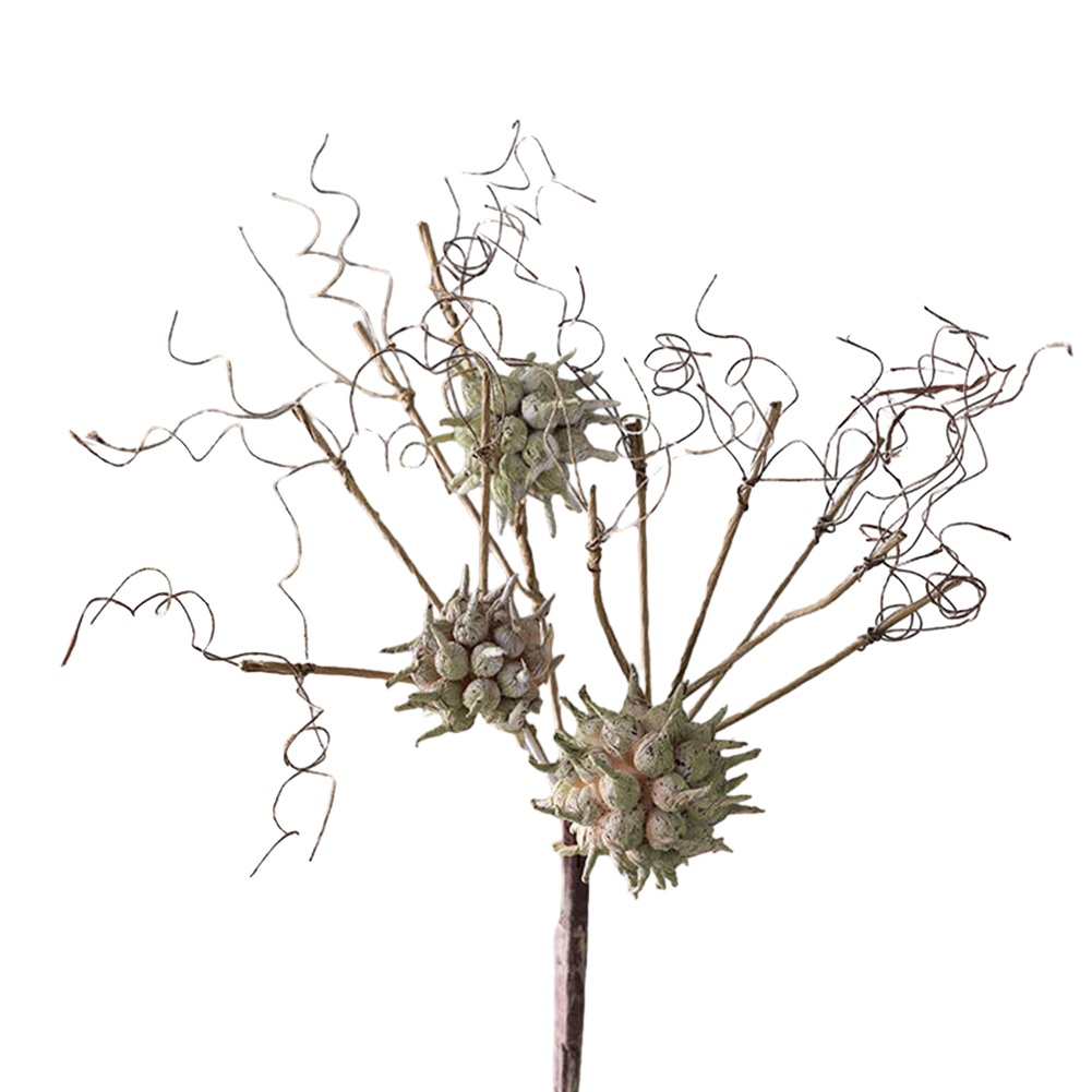 Künstliche Blumen Elegante Liq – Sustainable Living Usa Bewertung und Preis
